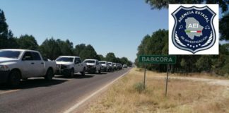 Localizan osamenta en rastreo de personas desaparecidas en Madera