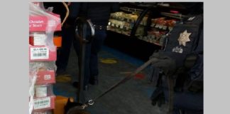 Realizan operativo en central de abastos con K-9