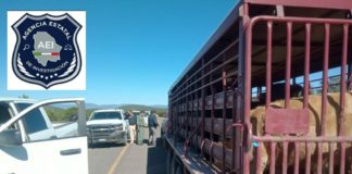 Realizan diligencias por asesinato de alcalde de Temósachic