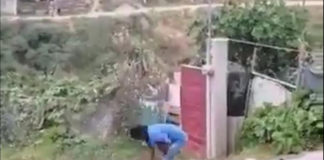 Mata a perrita a machetazos en Ixtapaluca