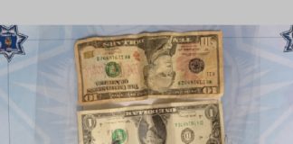 Han detenido a 5 por tratar de sobornar a oficiales