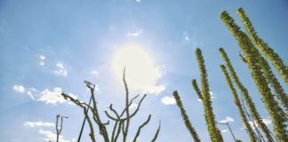 Alcanzará máxima los 28 grados