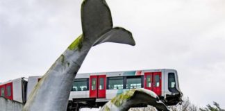 Cola de una ballena salva a un tren de caer al precipicio