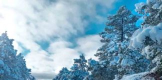 Alertan a la población en Chihuahua por nuevo frente frío