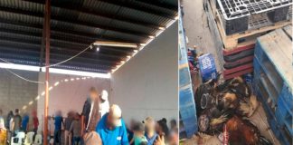 Revientan palenque con 248 personas aglomeradas