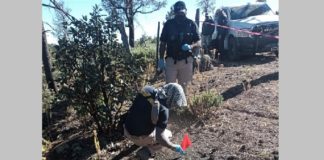 Encuentra Comisión de Búsqueda restos óseos en Balleza