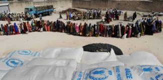 Temen pandemia de hambre peor que de Covid