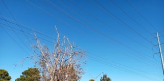 Aumentará ligeramente la temperatura mañana