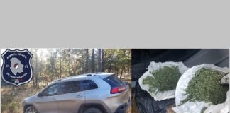 Vuelven a encontrar marihuana abandonada al sur del estado