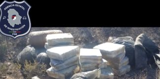 Vuelven a encontrar marihuana abandonada, ahora media tonelada en Parral