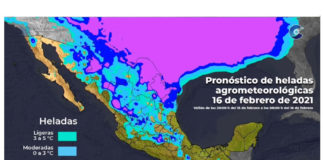 Alertan por fuertes vientos y descenso de temperatura en el estado