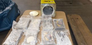 Incautan en el puerto de Hamburgo, 16 toneladas de cocaína, es el mayor hallazgo jamás realizado en Europa