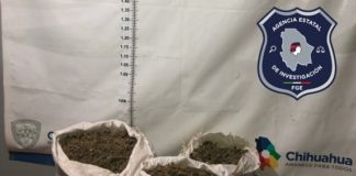 Vuelven a encontrar marihuana “abandonada” al sur del estado