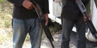 Durante sexenios de Calderón y Peña, entraron armas de Europa e Israel a México