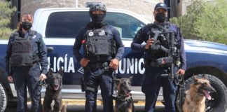 Tres canes de Juárez, los mejores en detección armas de fuego, drogas, dinero y pólvora