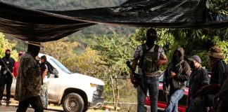 Aguacateros de Michoacán toman armas contra cárteles
