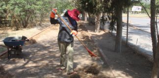 Participan beneficiarios del Programa de Apoyo Económico Emergente Comunitario en limpieza y mantenimiento de la ciudad