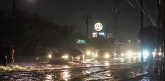 Exhorta Seguridad Vial a extremar precauciones al conducir