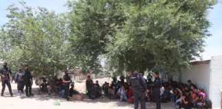 Fueron en total 206 migrantes rescatados en un día