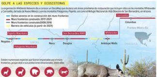 ONU pide reparar devastación ecológica por muro fronterizo