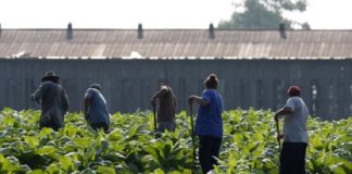 Diez millones viven con indocumentados; censo nacional de Estados Unidos