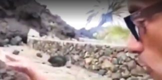 Periodista español toca la lava de Volcán La Palma, ‘¡Está súper caliente!’