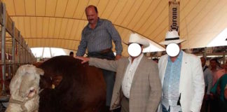 Ganado fino que César Duarte usó para desviar recursos, centro de solicitud de extradición