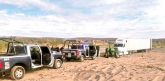 Narcotraficantes ahora roban nueces