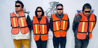 Caen 4 por descuartizar a persona y dejarla bajo pino navideño