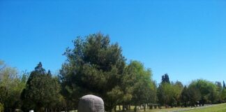 Trabaja Municipio en el “Estudio y Ordenamiento de El Chamizal”