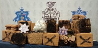 ‘Rescatan’ 250 libras de marihuana que se estaban quemando