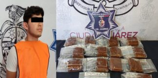 Detenido por cargar pastelillos de marihuana