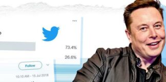 ¡Elon Musk lo logra! Firma acuerdo y Twitter es suyo