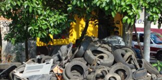 Buscan solución a problema de llantas tiradas por todas partes