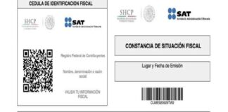 ¿Cómo sacar tu constancia de situación fiscal sin e-firma en 15 minutos?
