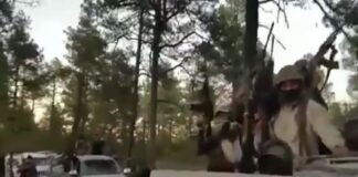 DESENTUERTOS: DE TERROR, EL CONTROL DEL NARCO