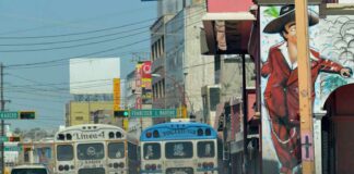 Promueve Dirección de Ecología verificación de transporte público