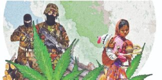 Mercenarios, paramilitares y ‘narcos’ controlan la sierra Tarahumara
