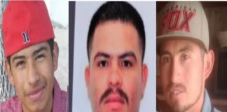 DESENTUERTOS: AHORA RESULTA QUE ENCONTRAR MUERTOS ES UN ÉXITO