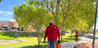 Fumigan contra garrapatas parques donde habrá campamentos infantiles