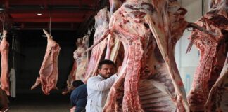 Sacrifican en rastro municipal 2 mil 419 animales en junio