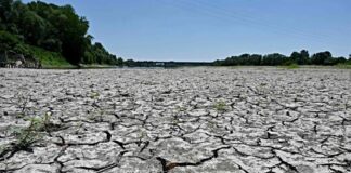 SOS: emergencia por falta de agua en estados del norte