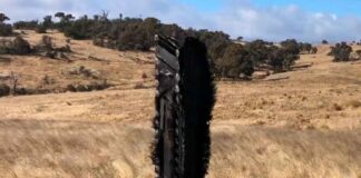 El extraño objeto que cayó desde espacio en una granja de Australia