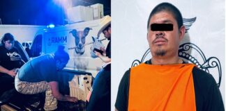 Balea a Pitbull vecino furibundo; denuncian