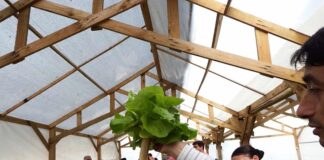 Realizarán quinto foro rumbo a la creación de la Carta por el Derecho a la Ciudad