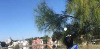 Esparcen cloro en charcos para combatir mosquitos