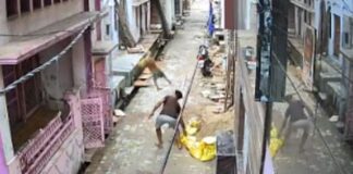 ¡Arriba los rudos! Mono con dotes de luchador tumba a hombre que lo apedreaba