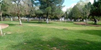 Siembran zacate en 2 mil metros cuadrados del Parque Central