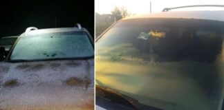 Se registran primeras heladas durante madrugada en diversas regiones del estado