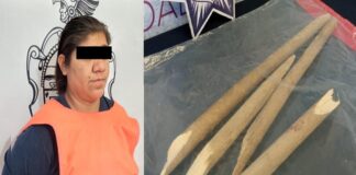 Va a prisión por matar a perro de su vecina